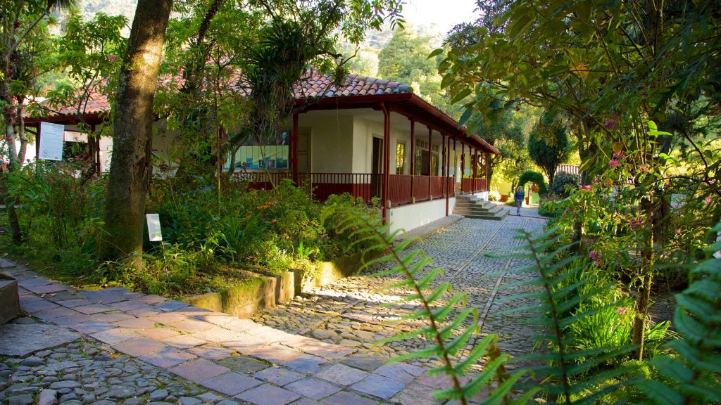 Explore Bogotá's rich cultural heritage: International Museum Day